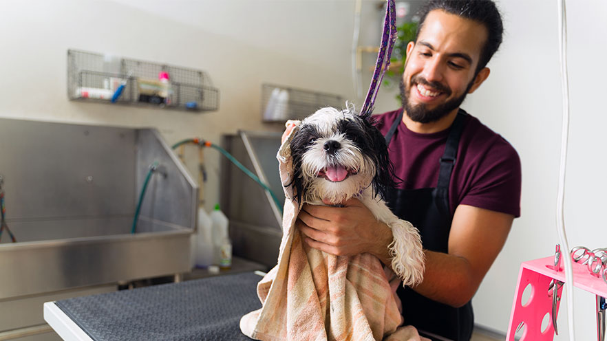 Dog groomer - SBA Loan Resources